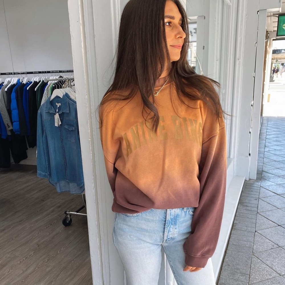 Anine Bing Brown and Gold Ombre Sweatshirt - Picture 2 of 14